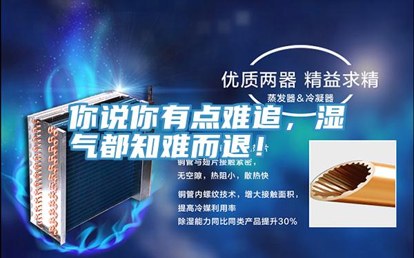 你說你有點(diǎn)難追，濕氣都知難而退！