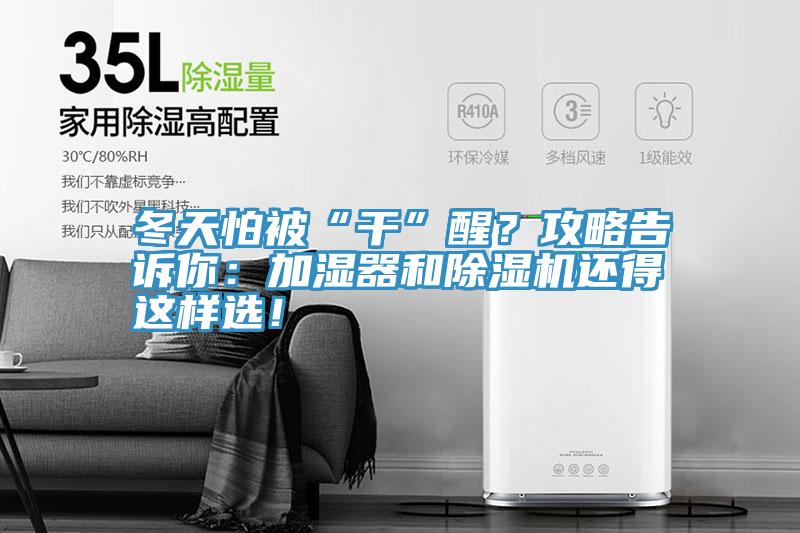 冬天怕被“干”醒？攻略告訴你：加濕器和除濕機還得這樣選！