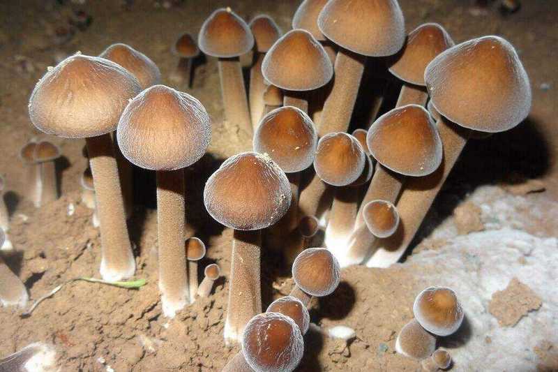 1569577346353912.jpg 圖片3.jpg