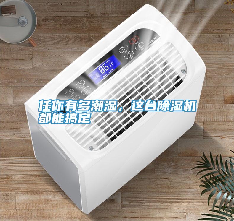 任你有多潮濕，這臺(tái)除濕機(jī)都能搞定