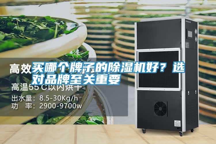 買哪個牌子的除濕機好？選對品牌至關(guān)重要