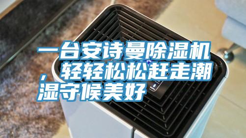 一臺(tái)安詩(shī)曼除濕機(jī)，輕輕松松趕走潮濕守候美好