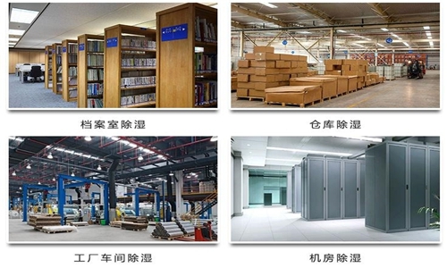 為什么竹筍烘干房需要除濕機(jī)？