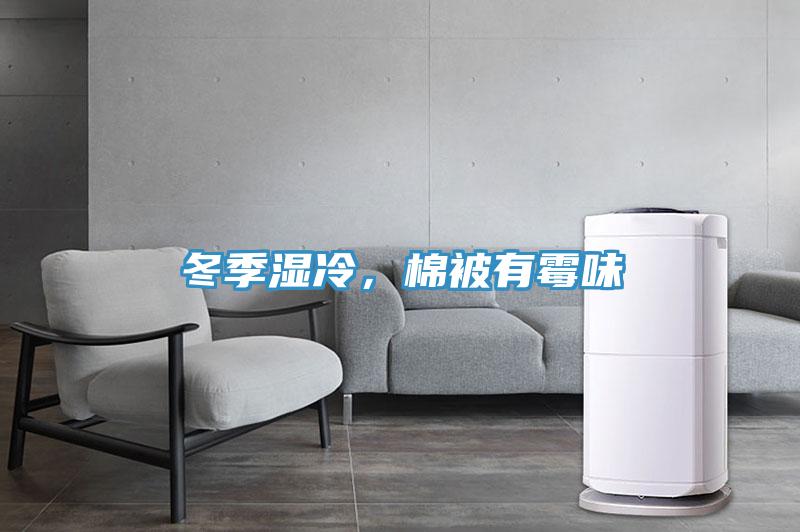 冬季濕冷，棉被有霉味