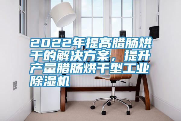 2022年提高臘腸烘干的解決方案，提升產(chǎn)量臘腸烘干型工業(yè)除濕機(jī)