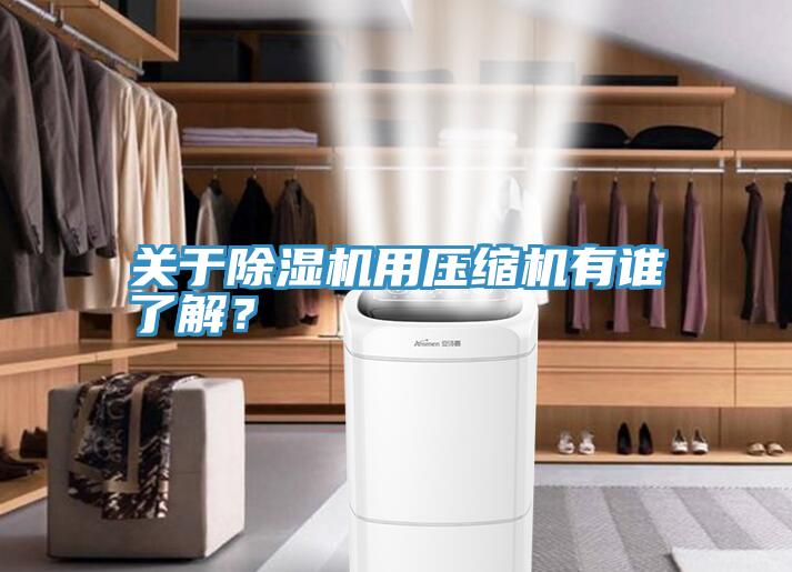 關(guān)于除濕機用壓縮機有誰了解？