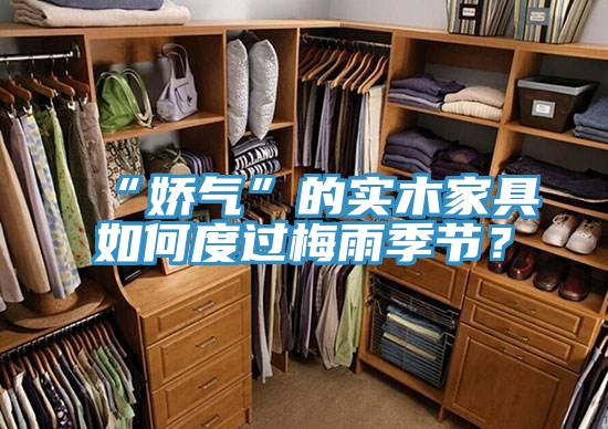 “嬌氣”的實木家具如何度過梅雨季節(jié)？