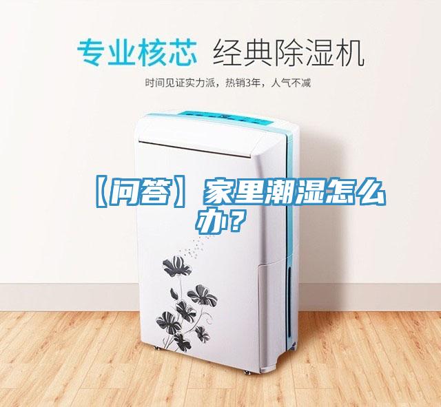【問(wèn)答】家里潮濕怎么辦？