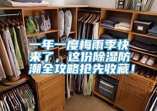 一年一度梅雨季快來了，這份除濕防潮全攻略搶先收藏！