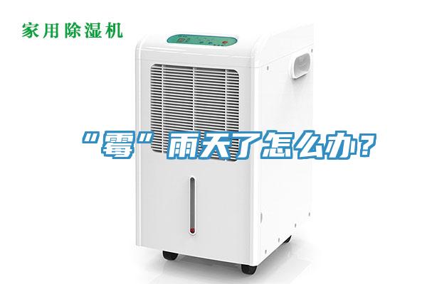 “霉”雨天了怎么辦？