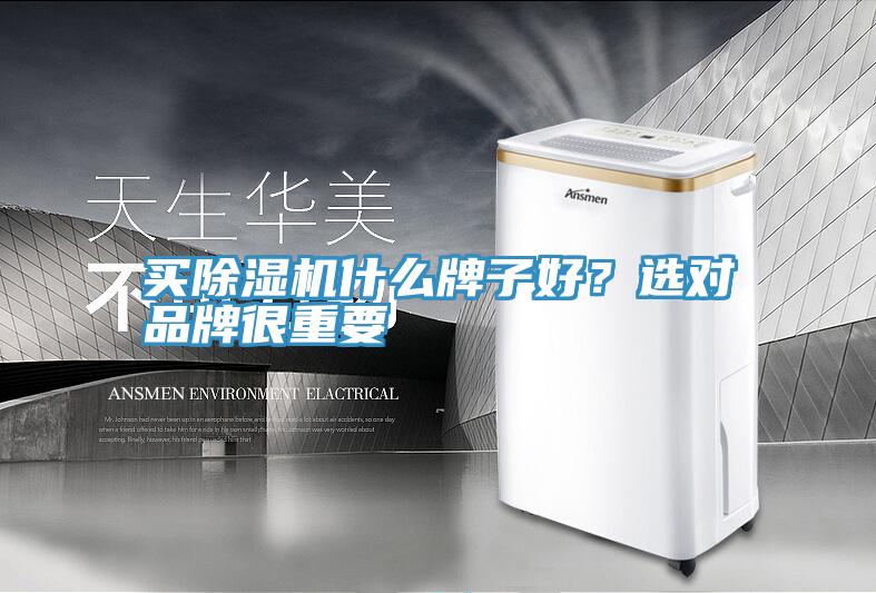 買除濕機(jī)什么牌子好？選對品牌很重要