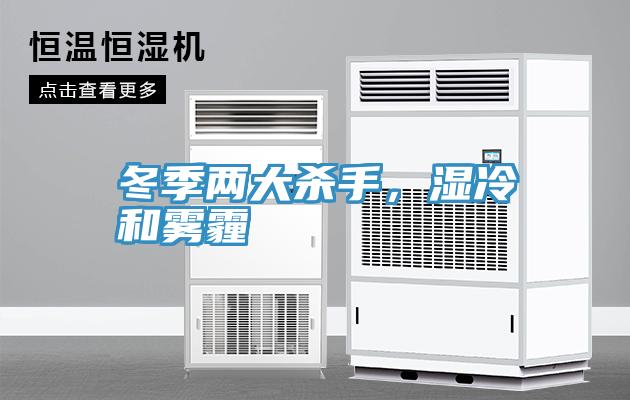 冬季兩大殺手,濕冷和霧霾