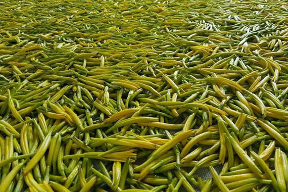 無硫金針菜烘干如何保持品相？不發(fā)黑？_除濕機(jī)廠家