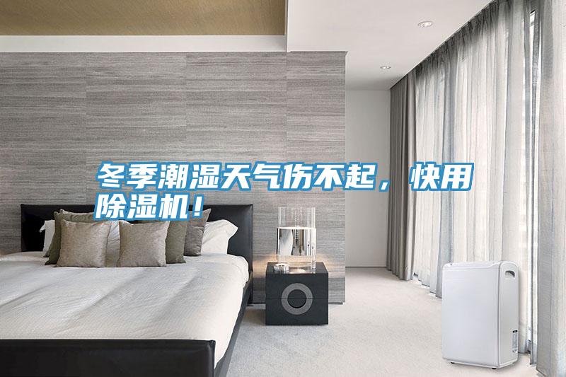 冬季潮濕天氣傷不起，快用除濕機！