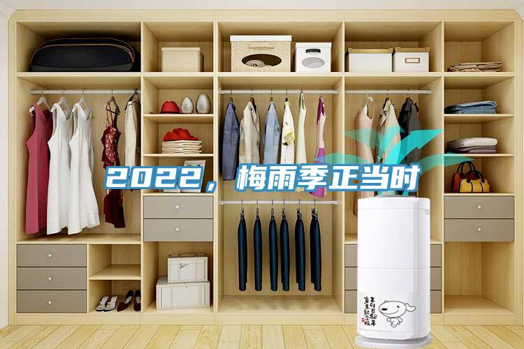 2022，梅雨季正當(dāng)時(shí)