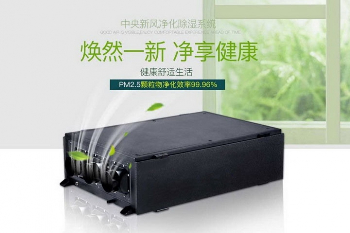 一年一度梅雨季快來了，這份除濕防潮全攻略搶先收藏！