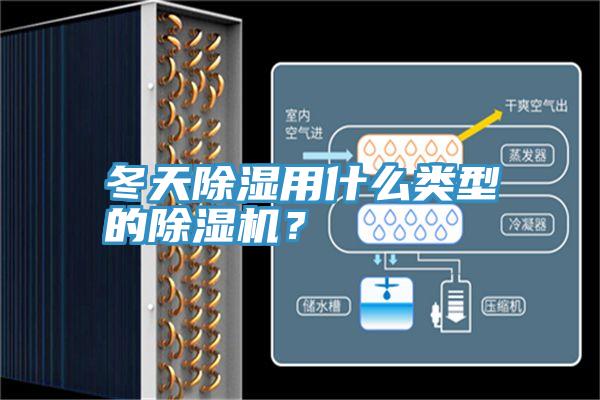 冬天除濕用什么類型的除濕機(jī)？