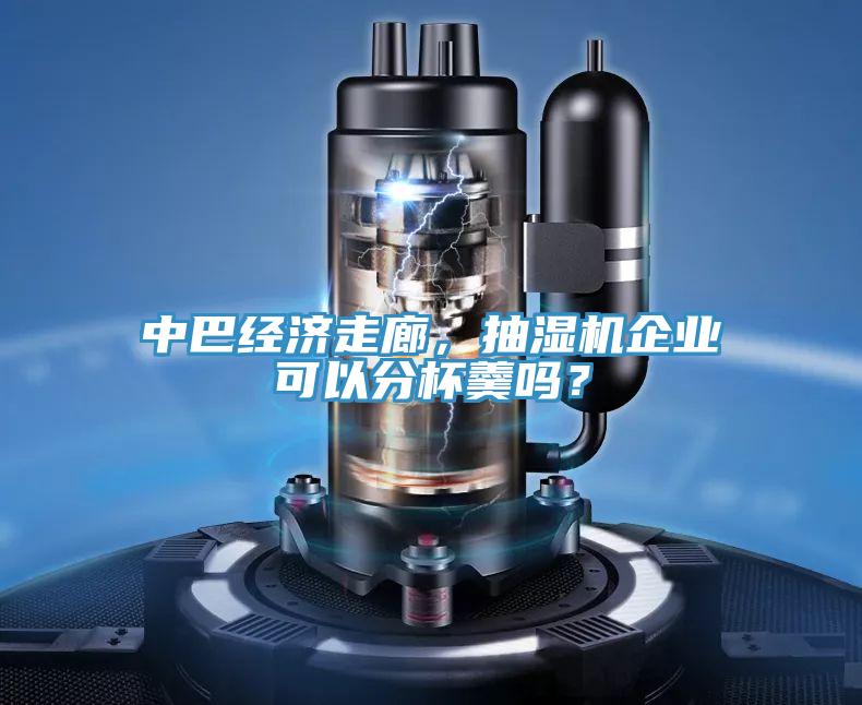 中巴經(jīng)濟(jì)走廊，抽濕機(jī)企業(yè)可以分杯羹嗎？
