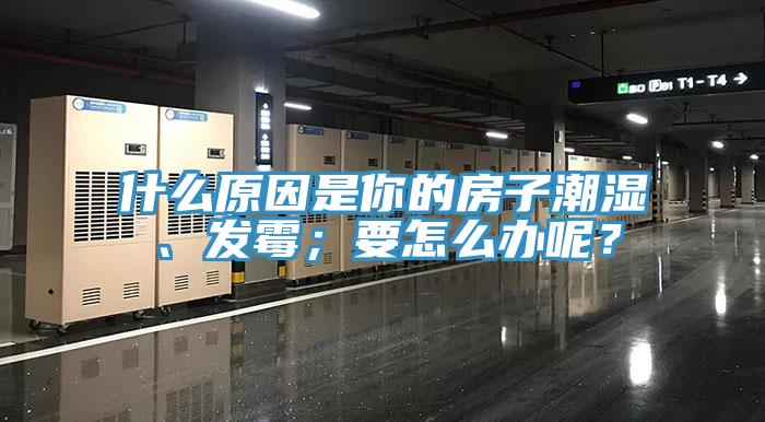 什么原因是你的房子潮濕、發(fā)霉；要怎么辦呢？