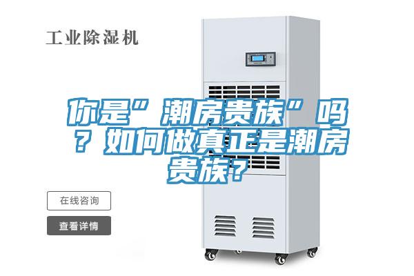 你是”潮房貴族”嗎？如何做真正是潮房貴族？