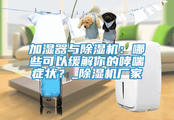 加濕器與除濕機(jī)：哪些可以緩解你的哮喘癥狀？_除濕機(jī)廠家