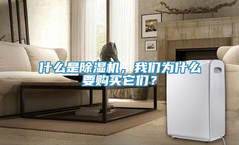 什么是除濕機，我們?yōu)槭裁匆徺I它們？