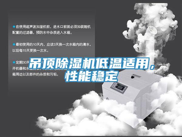 吊頂除濕機(jī)低溫適用，性能穩(wěn)定