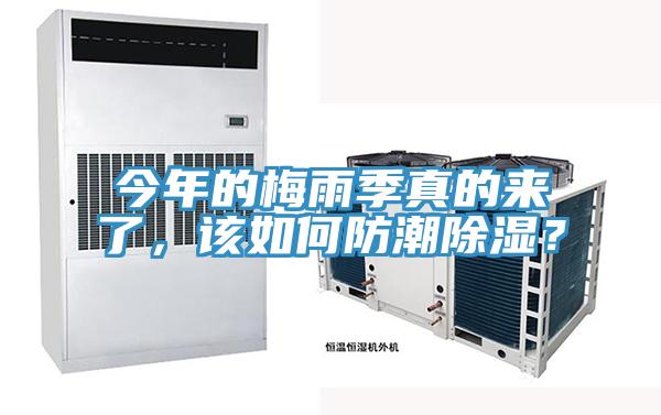 今年的梅雨季真的來了，該如何防潮除濕？