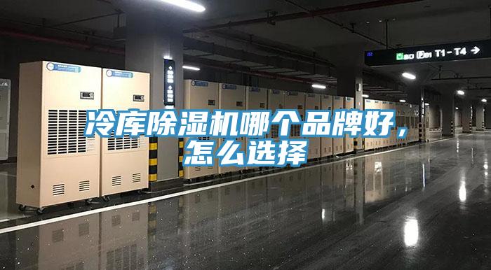 冷庫除濕機哪個品牌好，怎么選擇