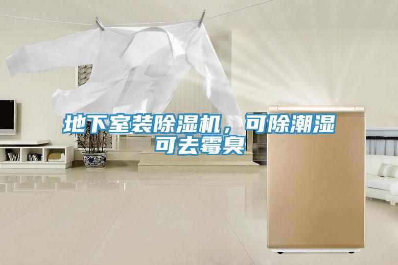地下室裝除濕機(jī)，可除潮濕可去霉臭