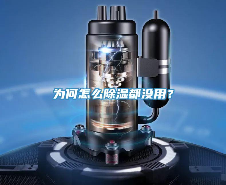 為何怎么除濕都沒用？