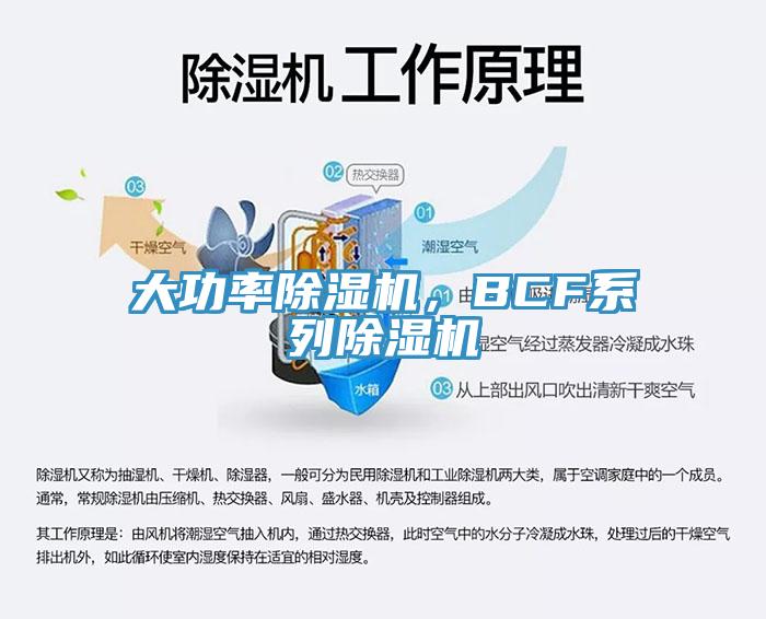 大功率除濕機(jī)，BCF系列除濕機(jī)