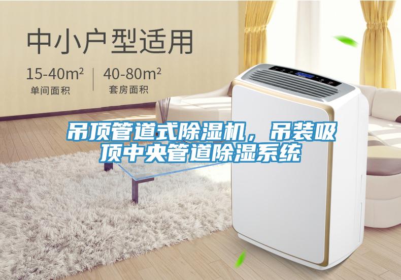 吊頂管道式除濕機(jī)，吊裝吸頂中央管道除濕系統(tǒng)