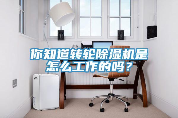 你知道轉(zhuǎn)輪除濕機(jī)是怎么工作的嗎？