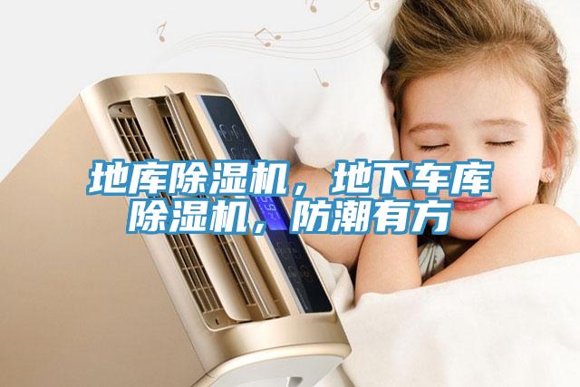 地庫除濕機，地下車庫除濕機，防潮有方