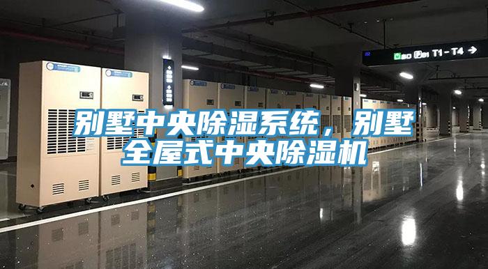 別墅中央除濕系統(tǒng)，別墅全屋式中央除濕機