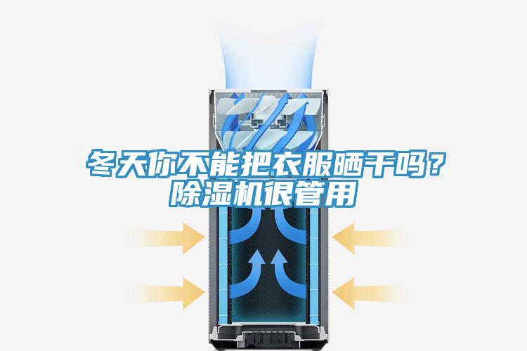冬天你不能把衣服曬干嗎？除濕機(jī)很管用