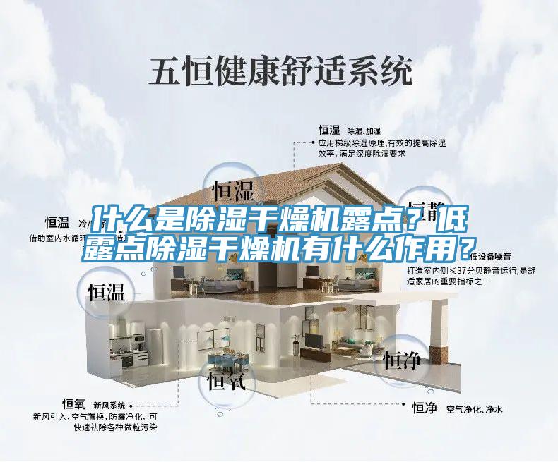 什么是除濕干燥機露點？低露點除濕干燥機有什么作用？
