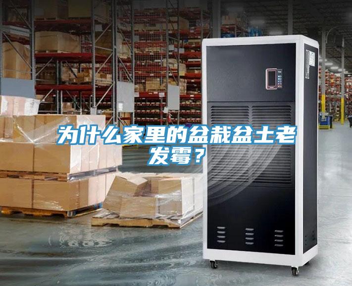 為什么家里的盆栽盆土老發(fā)霉？