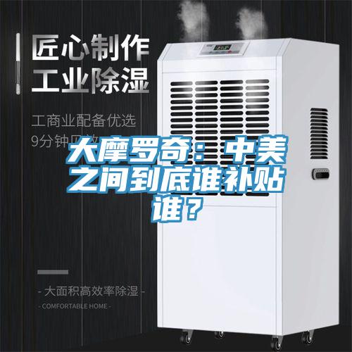 大摩羅奇：中美之間到底誰補貼誰？