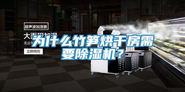 為什么竹筍烘干房需要除濕機(jī)？