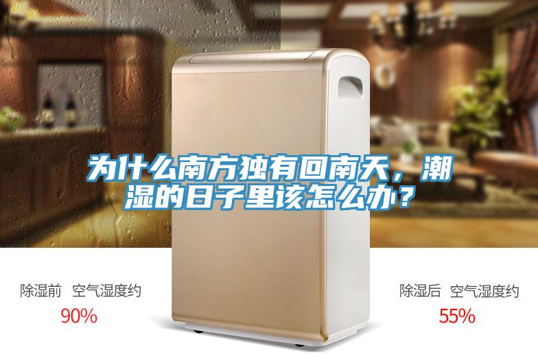 為什么南方獨(dú)有回南天，潮濕的日子里該怎么辦？
