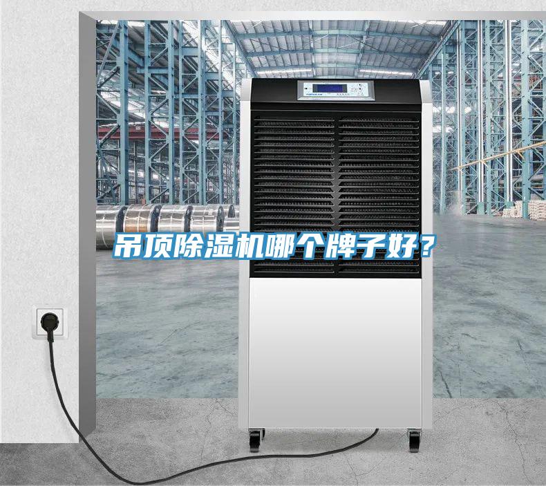 吊頂除濕機(jī)哪個(gè)牌子好？