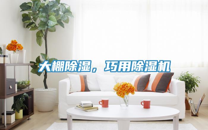 大棚除濕，巧用除濕機(jī)