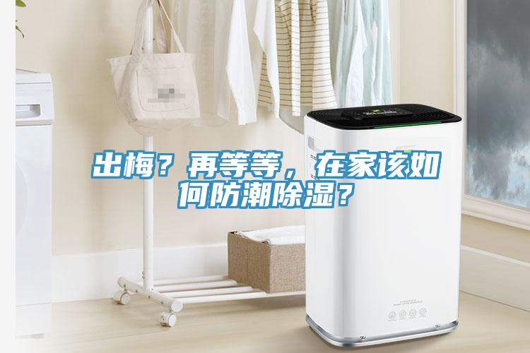 出梅？再等等，在家該如何防潮除濕？