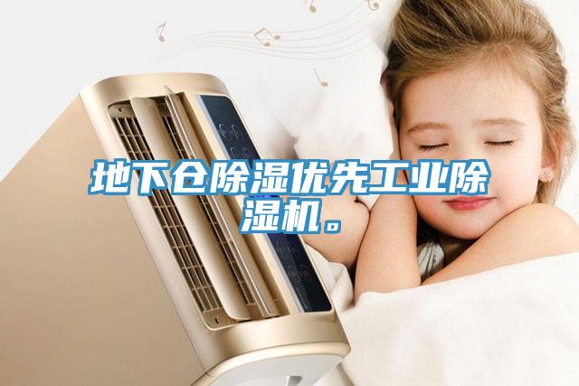 地下倉除濕優(yōu)先工業(yè)除濕機(jī)。