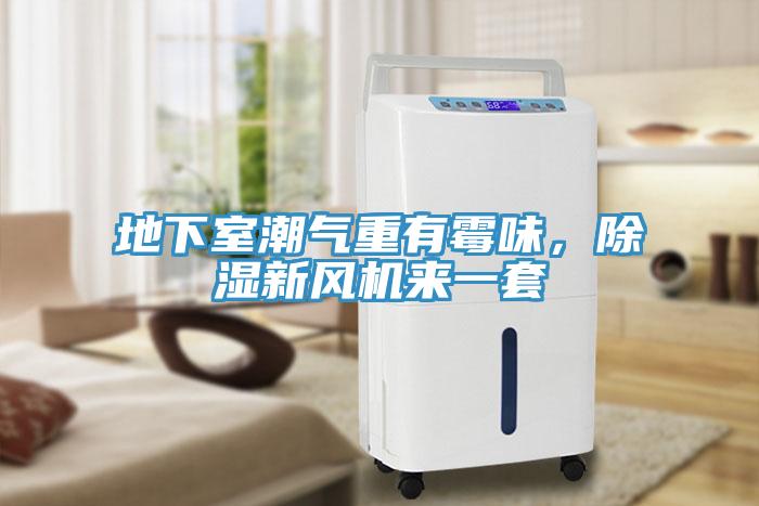 地下室潮氣重有霉味，除濕新風(fēng)機來一套