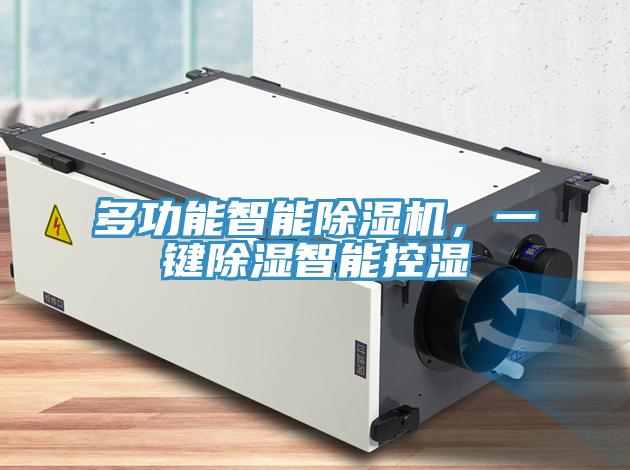 多功能智能除濕機(jī)，一鍵除濕智能控濕