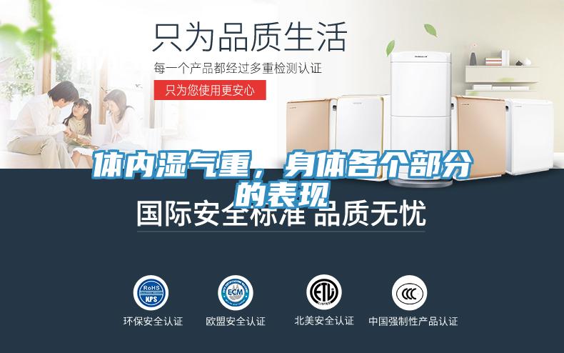 體內(nèi)濕氣重，身體各個(gè)部分的表現(xiàn)
