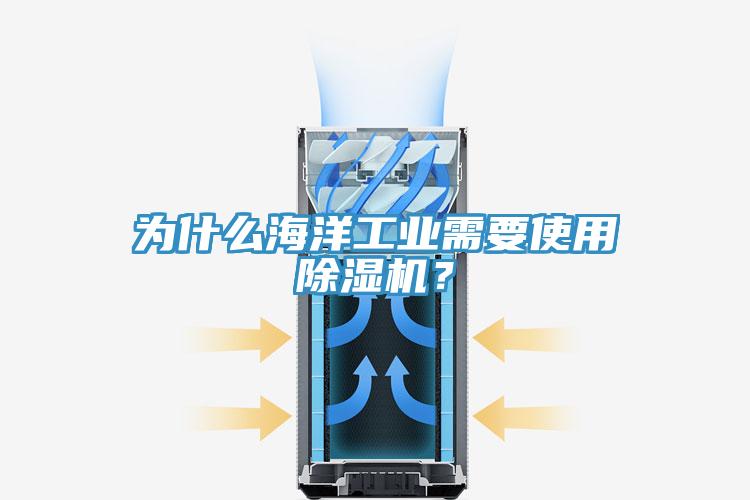 為什么海洋工業(yè)需要使用除濕機(jī)？